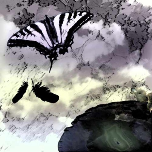 butterflyandsquirrel art