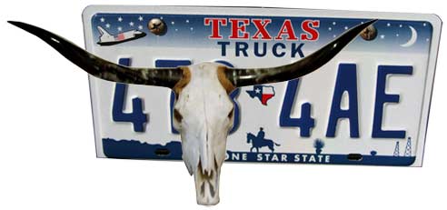 long horn and new license plate