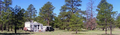 coconino national forest campsite
