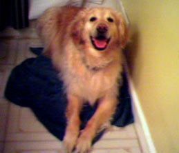 Happy Buddy in the Bathroom